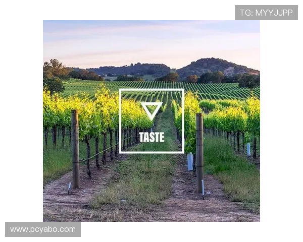 亚博体育手机官网官方入口,保障您的体育娱乐体验安全可靠 亚博体育手机官网官方入口,保障您的体育娱乐体验安全可靠