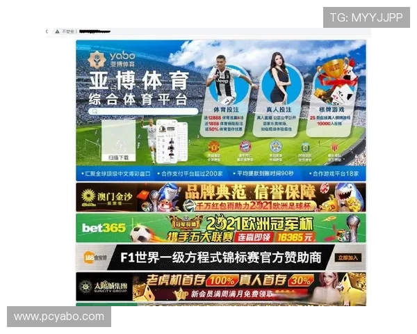 亚博体育的网址查询与验证方法，避免误入假冒网站的安全措施