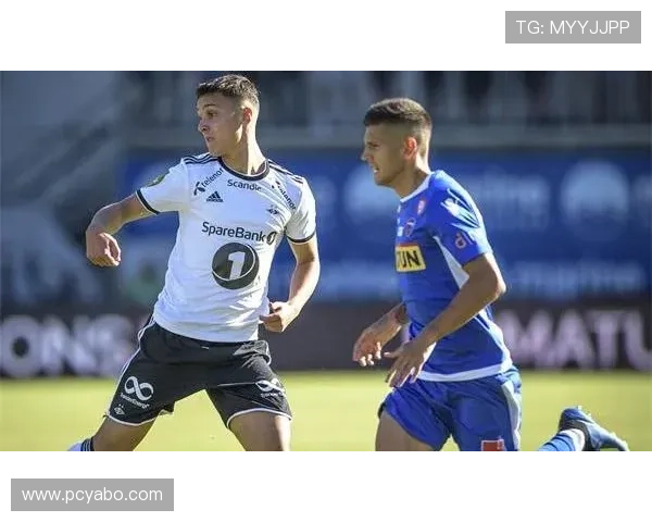 亚博体育网站app用户评价与口碑分析真实体验分享 亚博体育网站app用户评价与口碑分析真实体验分享