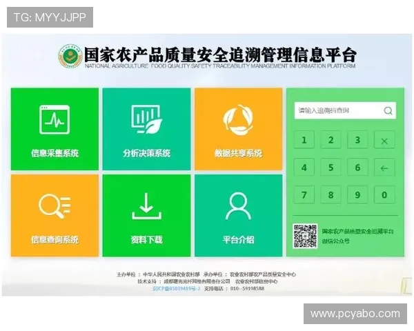 亚博体育娱乐官网：探讨平台的技术支持与安全保障措施确保用户信息安全