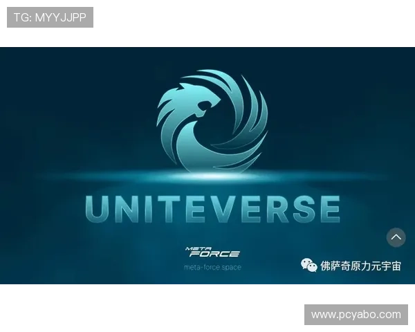 星空综合体育官方网站为体育培训机构提供合作平台与资源对接